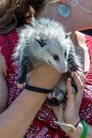 07-20 Misc Animals_reptiles--4