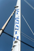 Kai Kanani Whale Watching