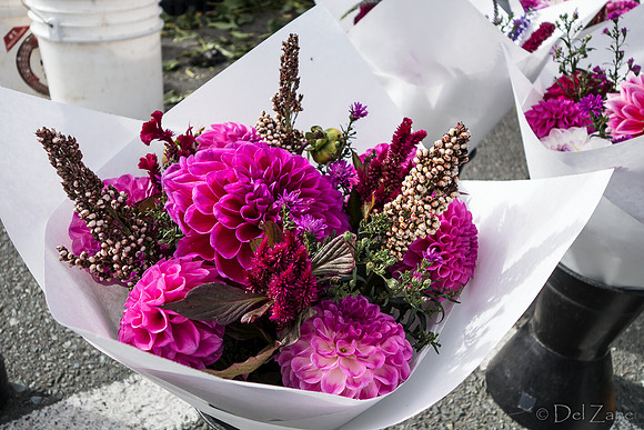 10-05 Farmers' Market--108