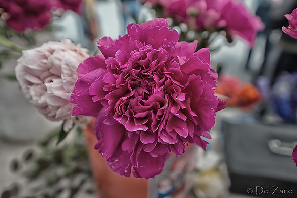 Farmers' Market 2--32