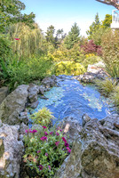 08-17 Shadra Garden 2015 TIFFs--17