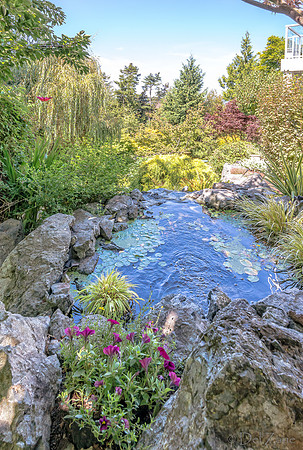 08-17 Shadra Garden 2015 TIFFs--17
