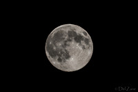 07-11 Super Moon Tiffs--3