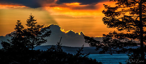 Electric Sunset-2-2
