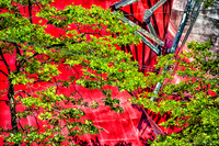 07-03 Seattle Center--7