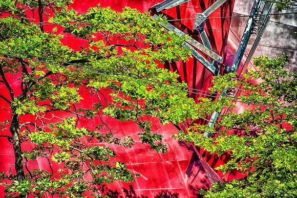 07-03 Seattle Center--7