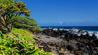Big Waves from Hana-1