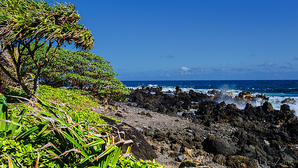 Big Waves from Hana-1