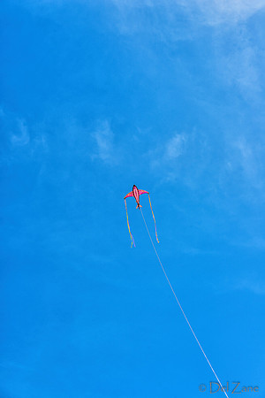 06-06 Kites TIFFs--9