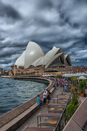 Sydney Walkabout--30
