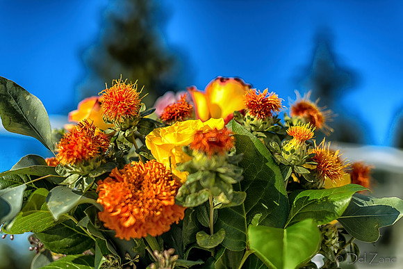 10-01 Bouquet TIFFs--27