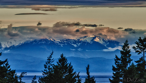 The Very Distant Olympic Mountains-6