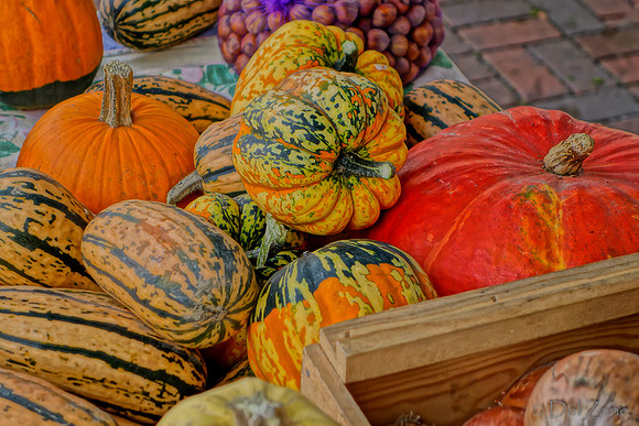 10-05 Farmers' Market--80