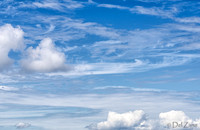 Look Up!!!-8
