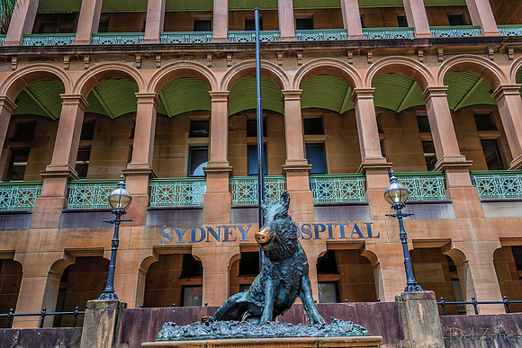 Sydney Walkabout--9