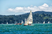Bay of Islands NZ--6
