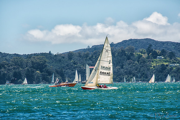Bay of Islands NZ--6