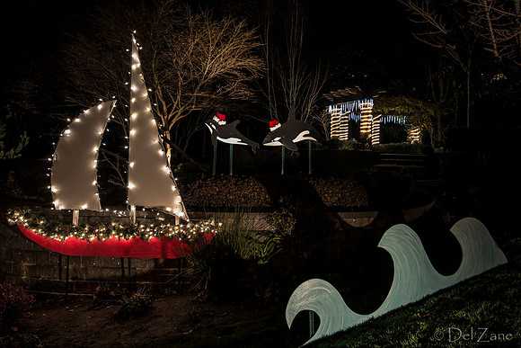 11-27-13  Marine Heights Nighttime Xmas Display JPEGs--4