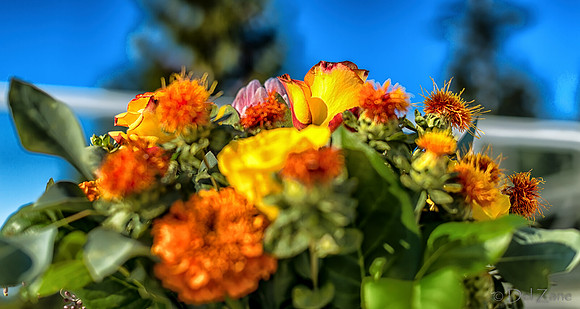 10-01 Bouquet TIFFs--26