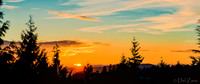 06-03 Orange Aid Sunset TIFFs--6