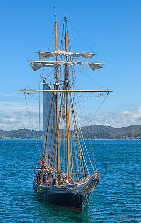Bay of Islands NZ--21