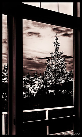 Windows-2