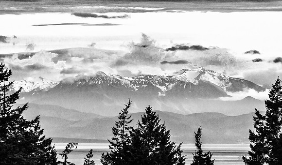 The Very Distant Olympic Mountains-10