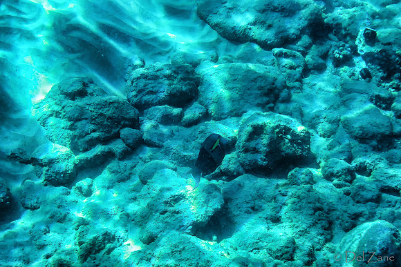 01-18 Makena Underwater TIFFs--16