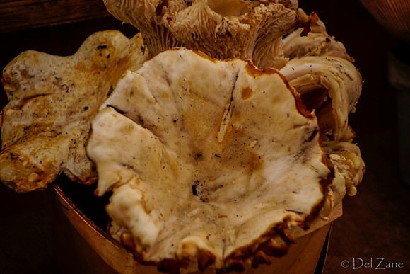 10-05 Farmers' Market--91