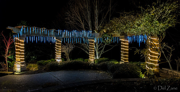 12-03 MH Nighttime Xmas Display--7