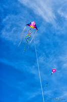 06-06 Kites TIFFs--6