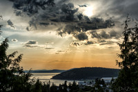 Bronze Sunset--9