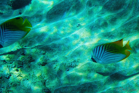 01-18 Makena Underwater TIFFs--2