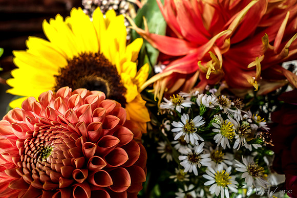 09-21 Bouquet Bokeh--5