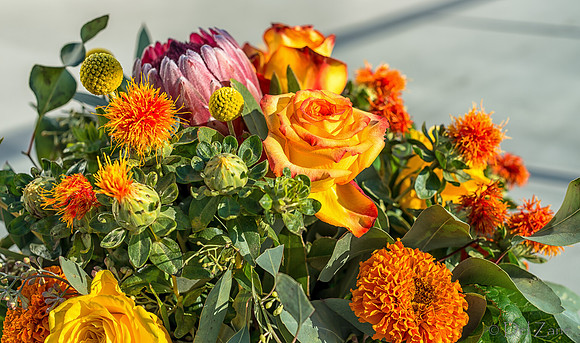 10-01 Bouquet TIFFs--16