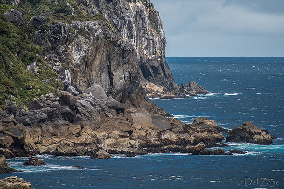 Fiords--13