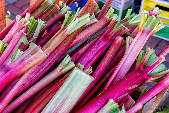 06-21 Farmers Market Tiffs--11