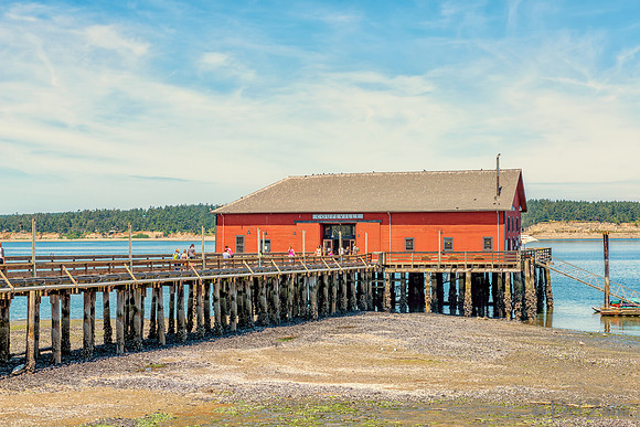 06-05 Coupeville TIFFs--12