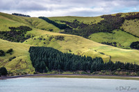 Dunedin Farewell--6