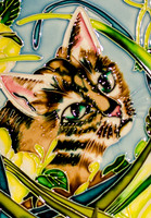 Pike Place Market Cats-11