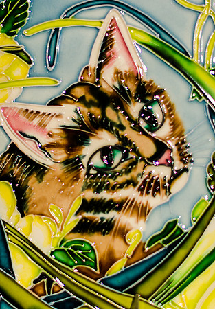 Pike Place Market Cats-11