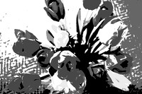 Multi-color Tulips--9