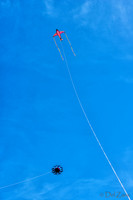 06-06 Kites TIFFs--8