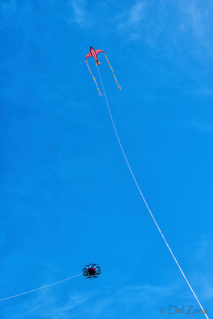 06-06 Kites TIFFs--8