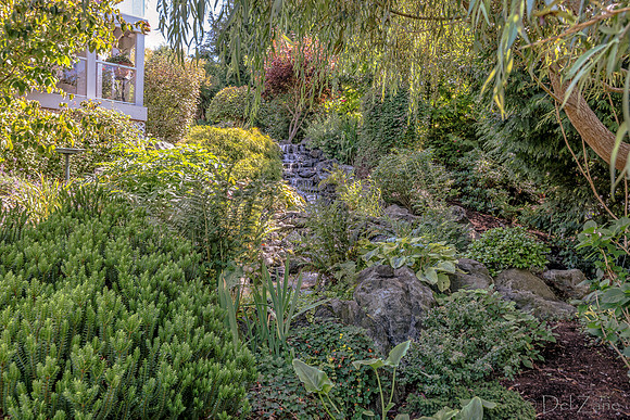 08-17 Shadra Garden 2015 TIFFs--27