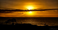 01-05 First Sunset Tiffs--3
