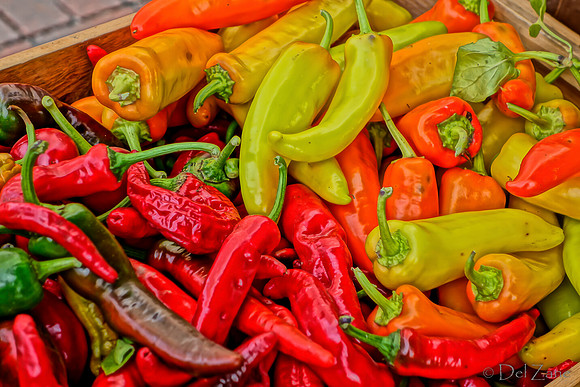 10-05 Farmers' Market--62