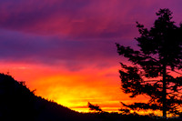 02-27 Surprize Sunset Tiffs--6