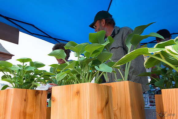 Farmers' Market 2--62
