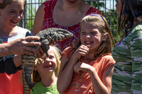 07-20 Gila Monster--3